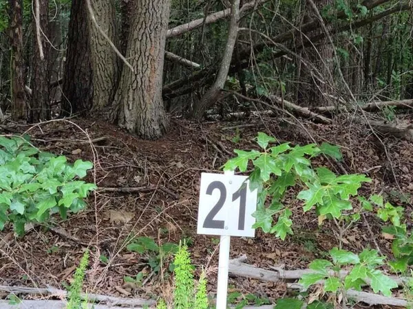 $42,753 | Lot 21 Belle Isle Drive, Union Hall, VA 24176