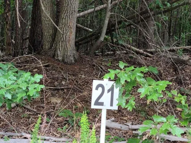 a sign that is sitting in a garden