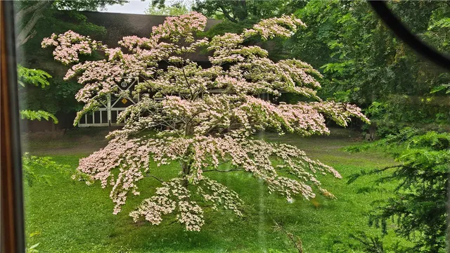 $549,900 | 461 Lawrence Road, Clarkson, NY 14420