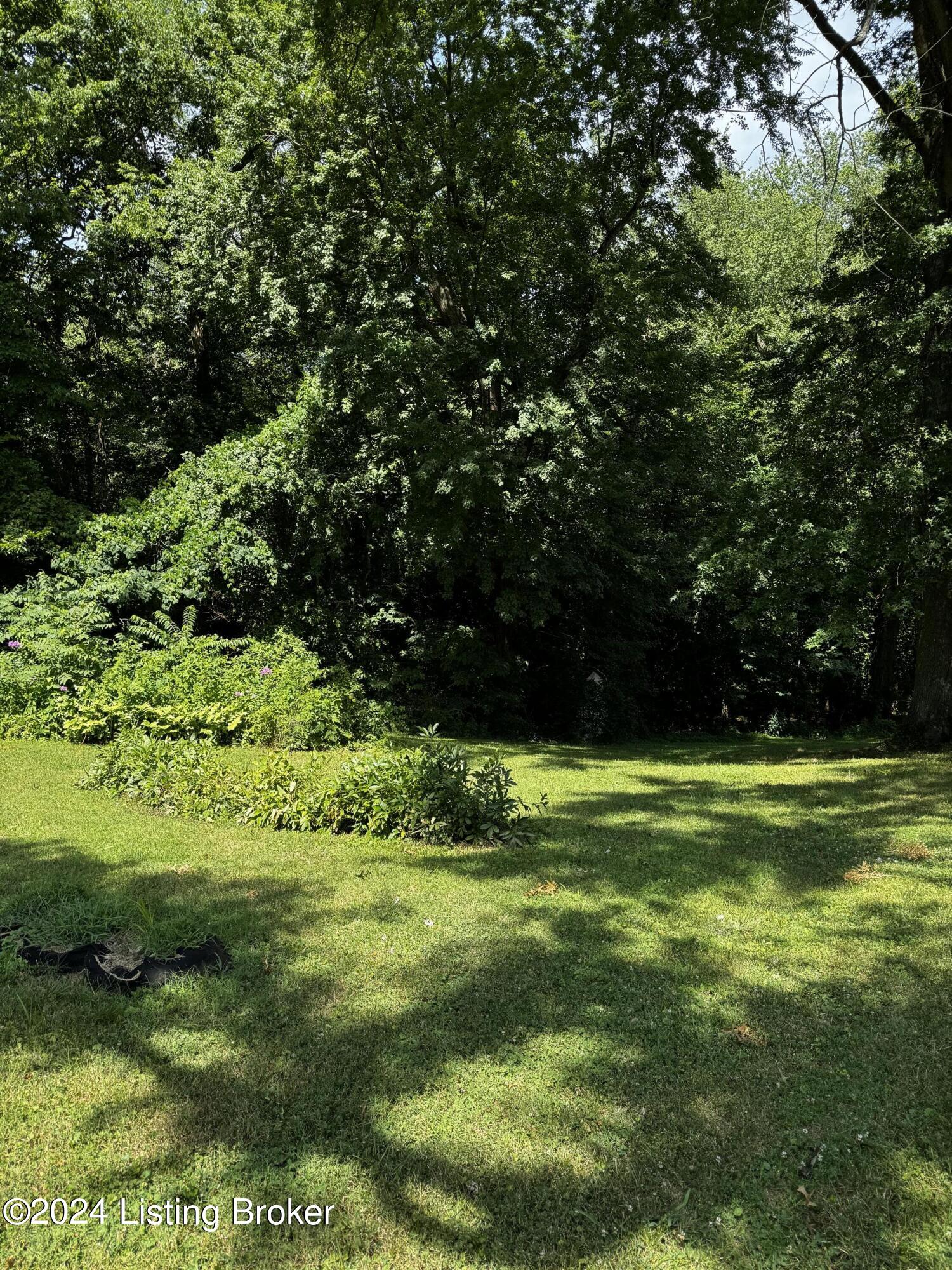 7308 Rutledge Road Louisville, KY 40258 - Photo 2 of 2 Lot extends into trees toward corner