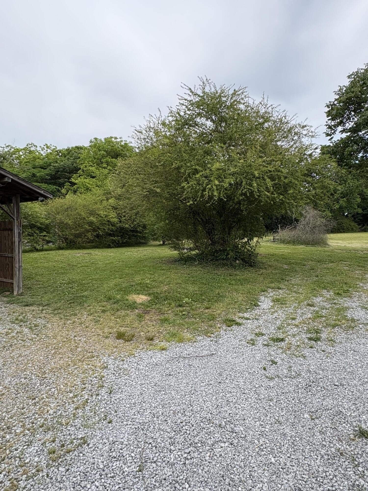 1117 Bledsoe Road Etowah, TN 37331 - Photo 4 of 16