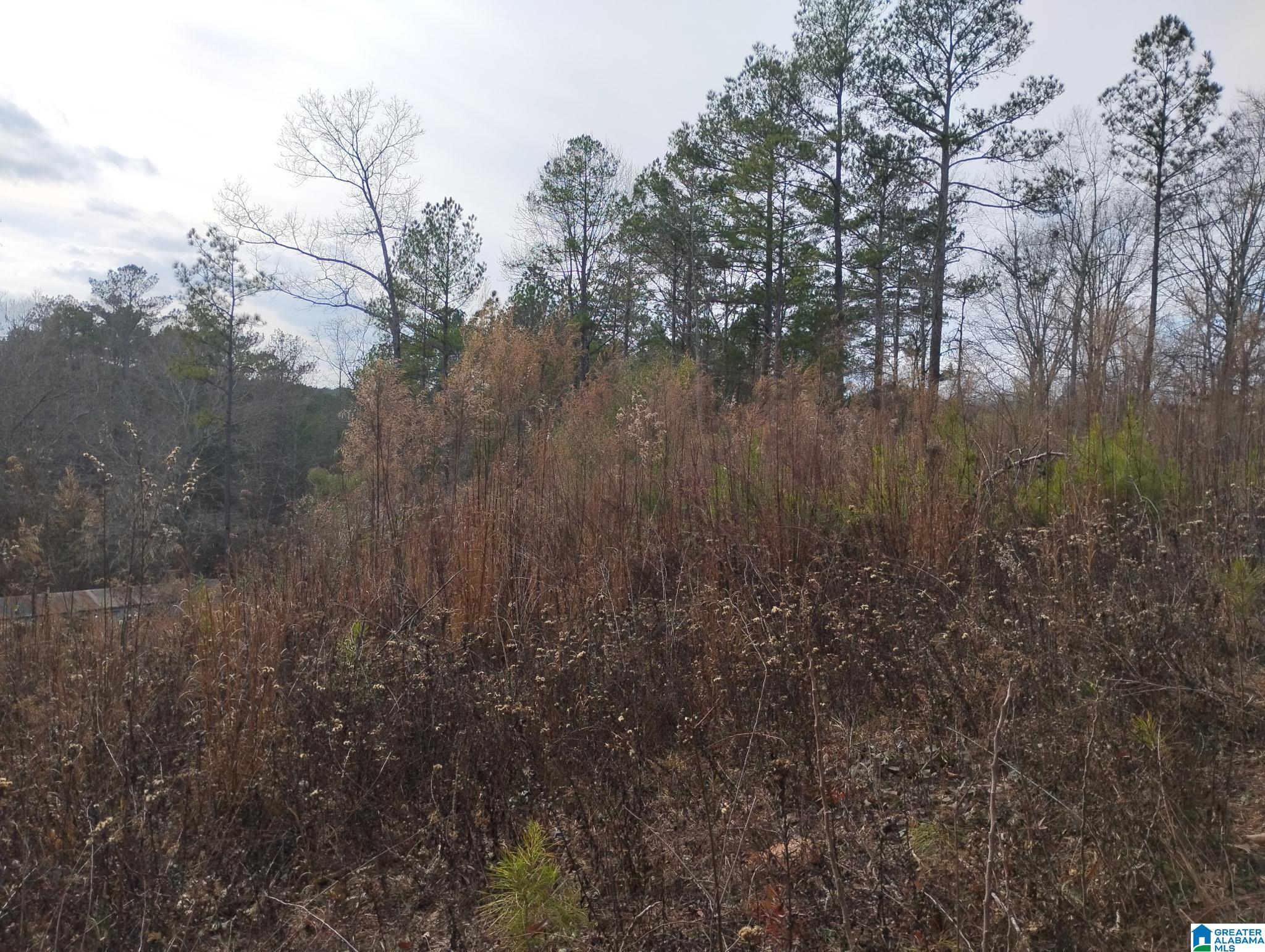 Foster Circle Lineville, AL 36266 - Photo 4 of 14