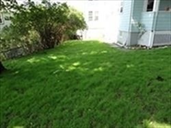 93 Hillside Road, Unit 2 Watertown, MA 02472 - Photo 8 of 38