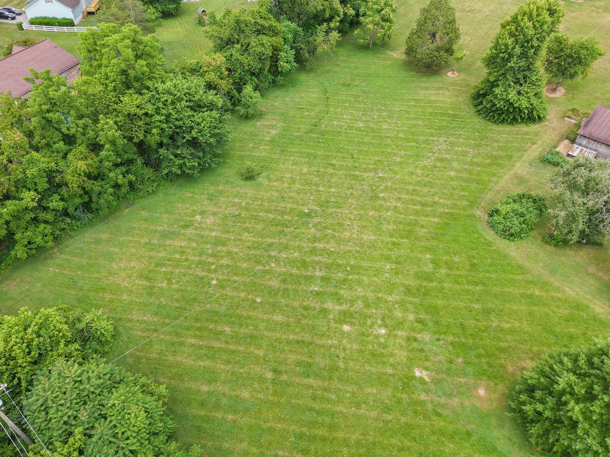 314 Springfield Lane Jacksboro, TN 37757 - Photo 31 of 33 124-web-or-mls-DJI_20260622122026_0099_D