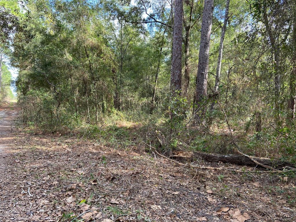 0 Northeast 69th Place Bronson, FL 32621 - Photo 1 of 1 1
