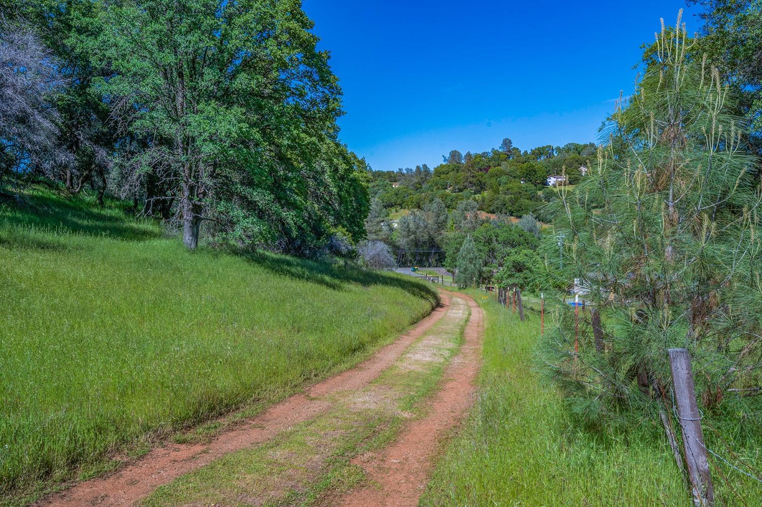 2000 Highway 193 Cool, CA 95614 - Photo 11 of 33 a view of a street with a yard