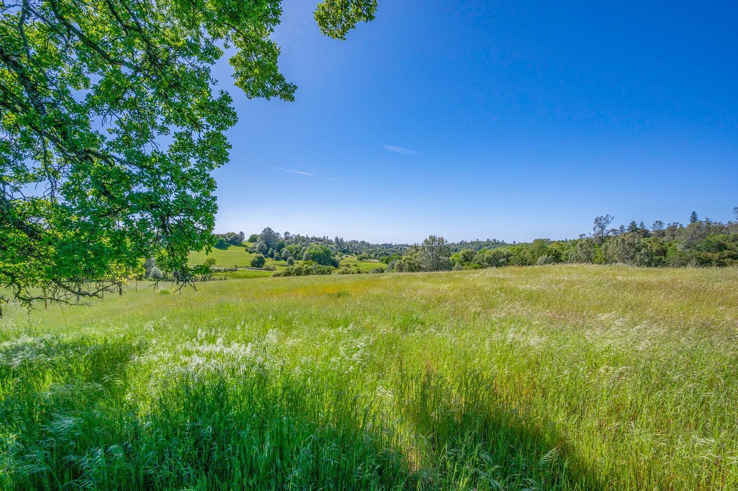 2000 Highway 193 Cool, CA 95614 - Photo 12 of 33 a view of lake and green space