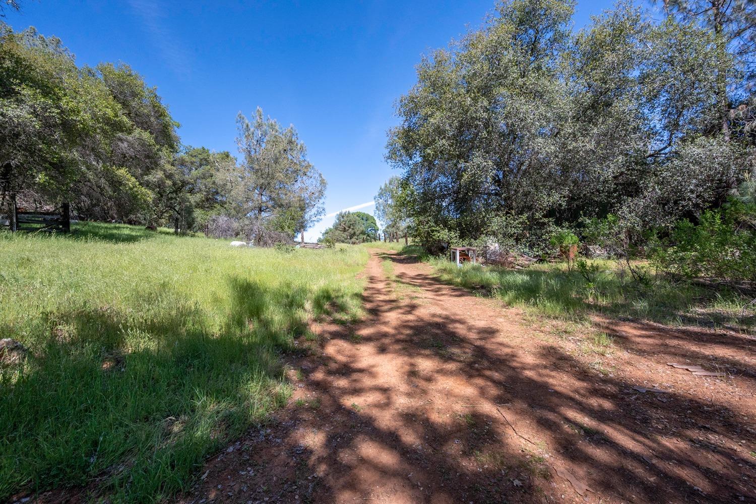 2000 Highway 193 Cool, CA 95614 - Photo 14 of 33 a view of a yard with a tree