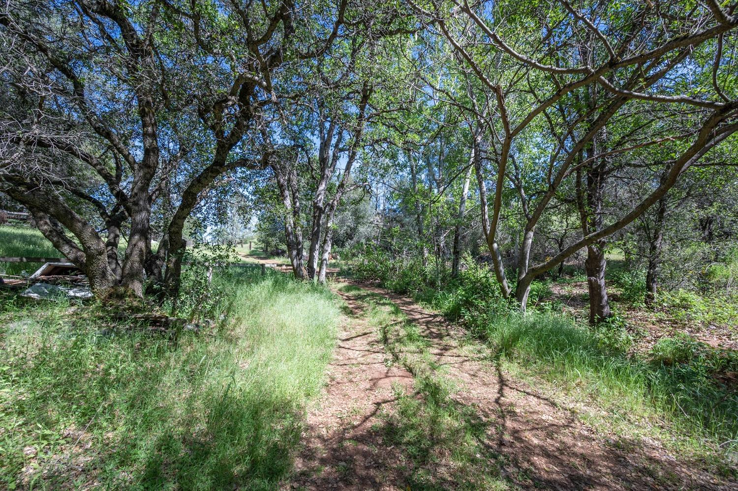 2000 Highway 193 Cool, CA 95614 - Photo 15 of 33 a backyard of a house with lots of green space