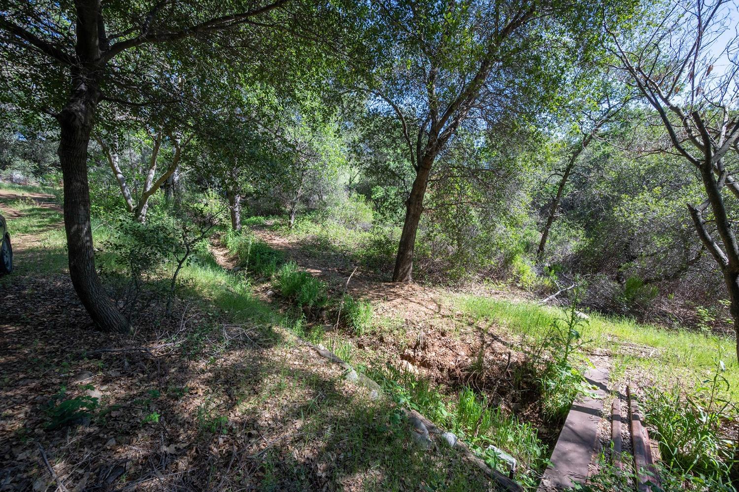2000 Highway 193 Cool, CA 95614 - Photo 16 of 33 a view of backyard with green space