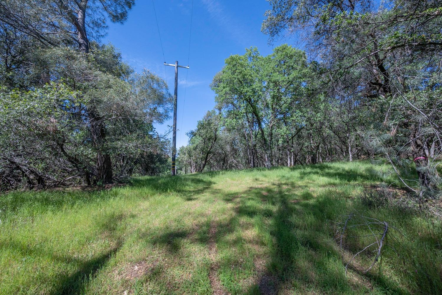 2000 Highway 193 Cool, CA 95614 - Photo 18 of 33 a view of a lush green space