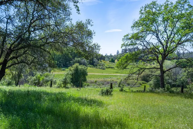 a view of a field of grass and trees