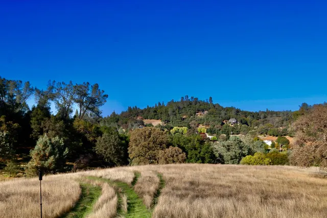 a view of a yard with trees in the background