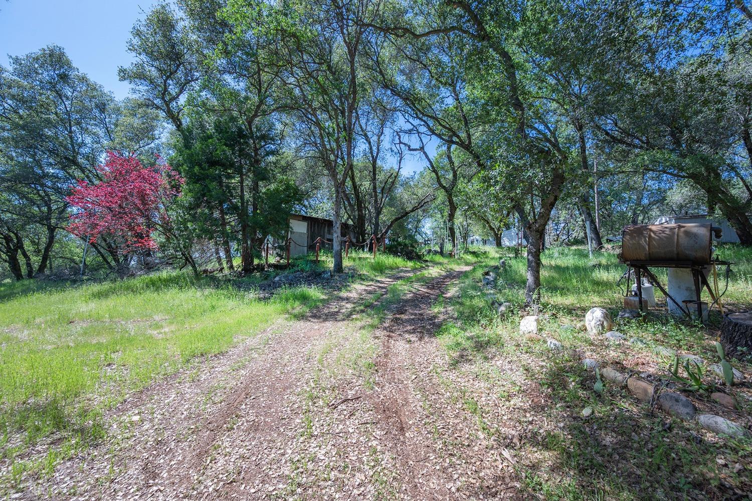 2000 Highway 193 Cool, CA 95614 - Photo 24 of 33 a backyard of a house with lots of green space