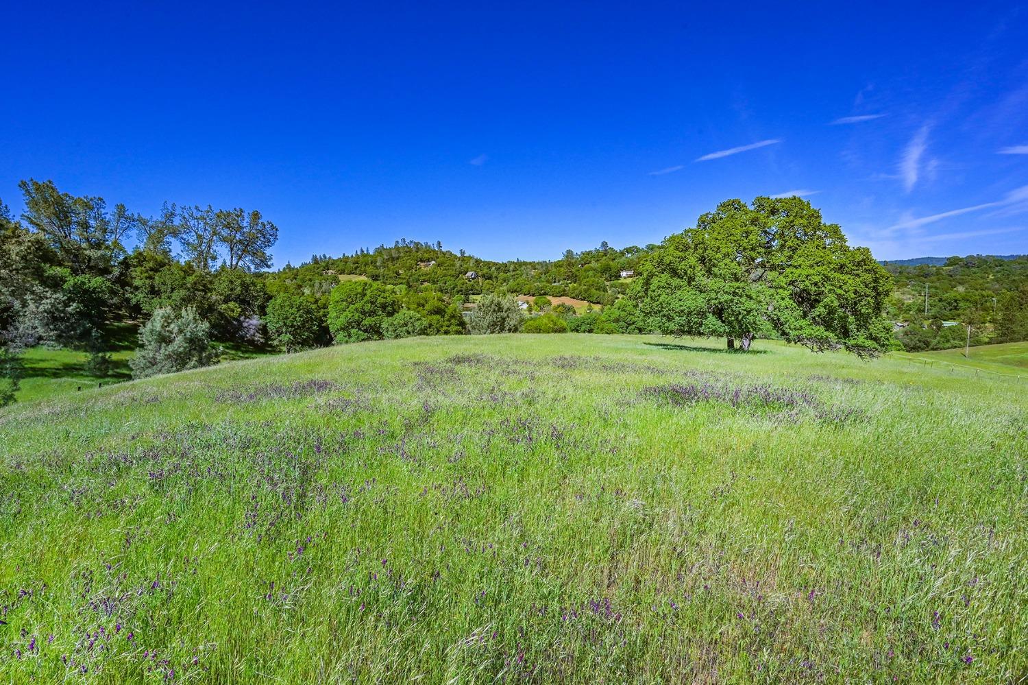 2000 Highway 193 Cool, CA 95614 - Photo 26 of 33 a view of a lush green space