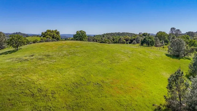 a view of a field with an ocean