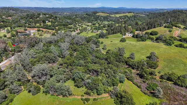 a view of a lush green hillside and a houses