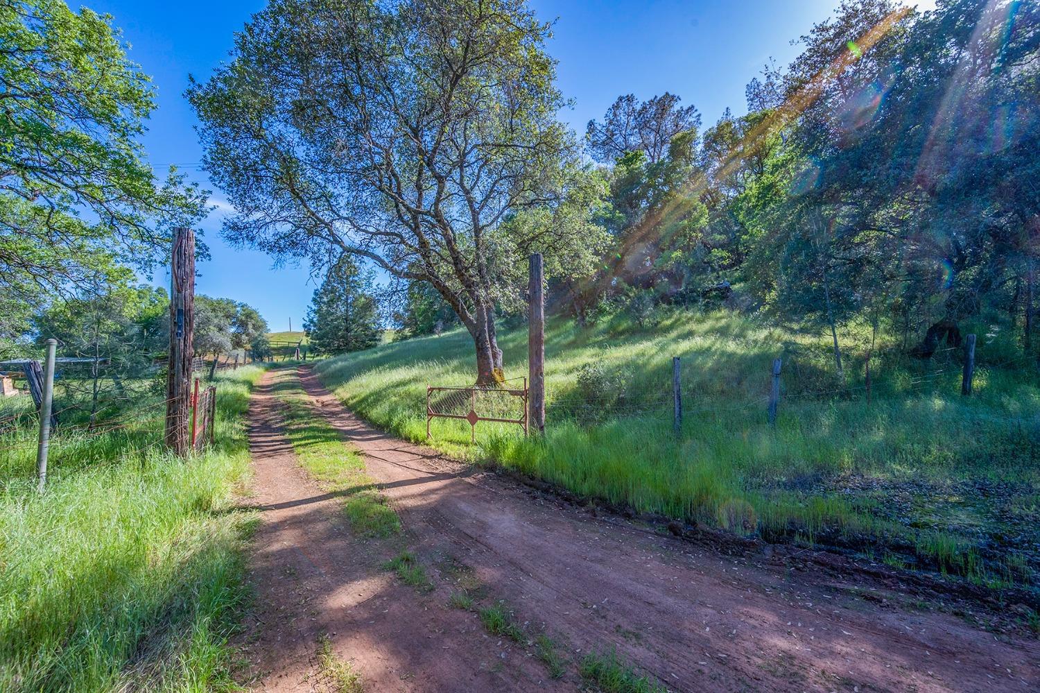 2000 Highway 193 Cool, CA 95614 - Photo 9 of 33 a view of a park