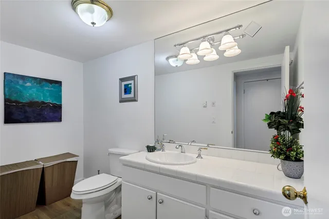 a bathroom with a sink a toilet and mirror