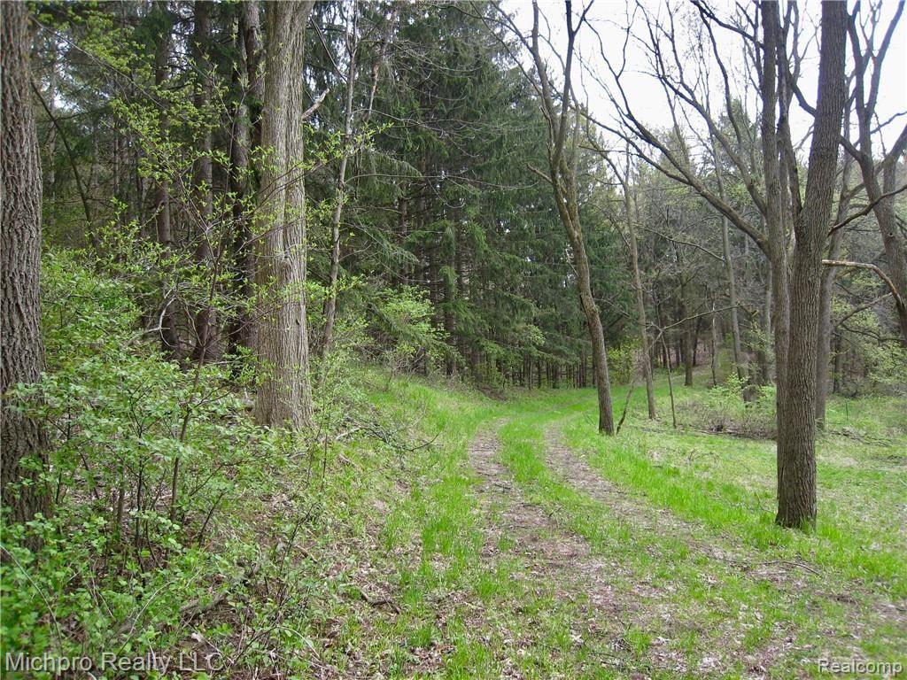 Parcel 2 South Lapeer Road Metamora, MI 48455 - Photo 3 of 17