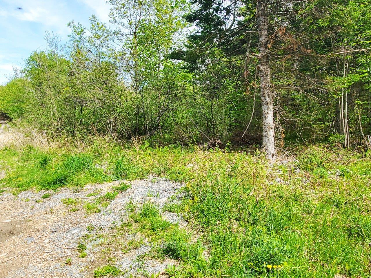 Lot 6 Pleasant Pond Road Milo, ME 04463 - Photo 12 of 38 20260523_143419 adj