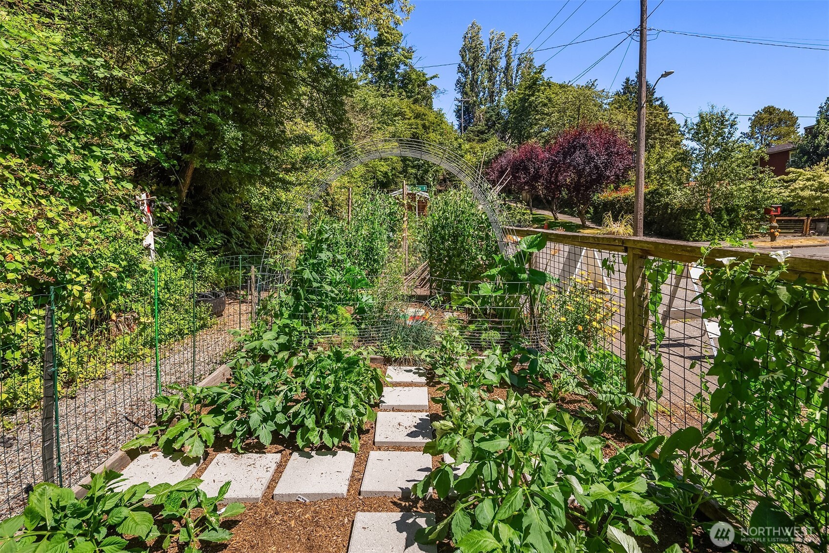 537 30th Avenue East Seattle, WA 98112 - Photo 22 of 25 a view of a house with a flower garden