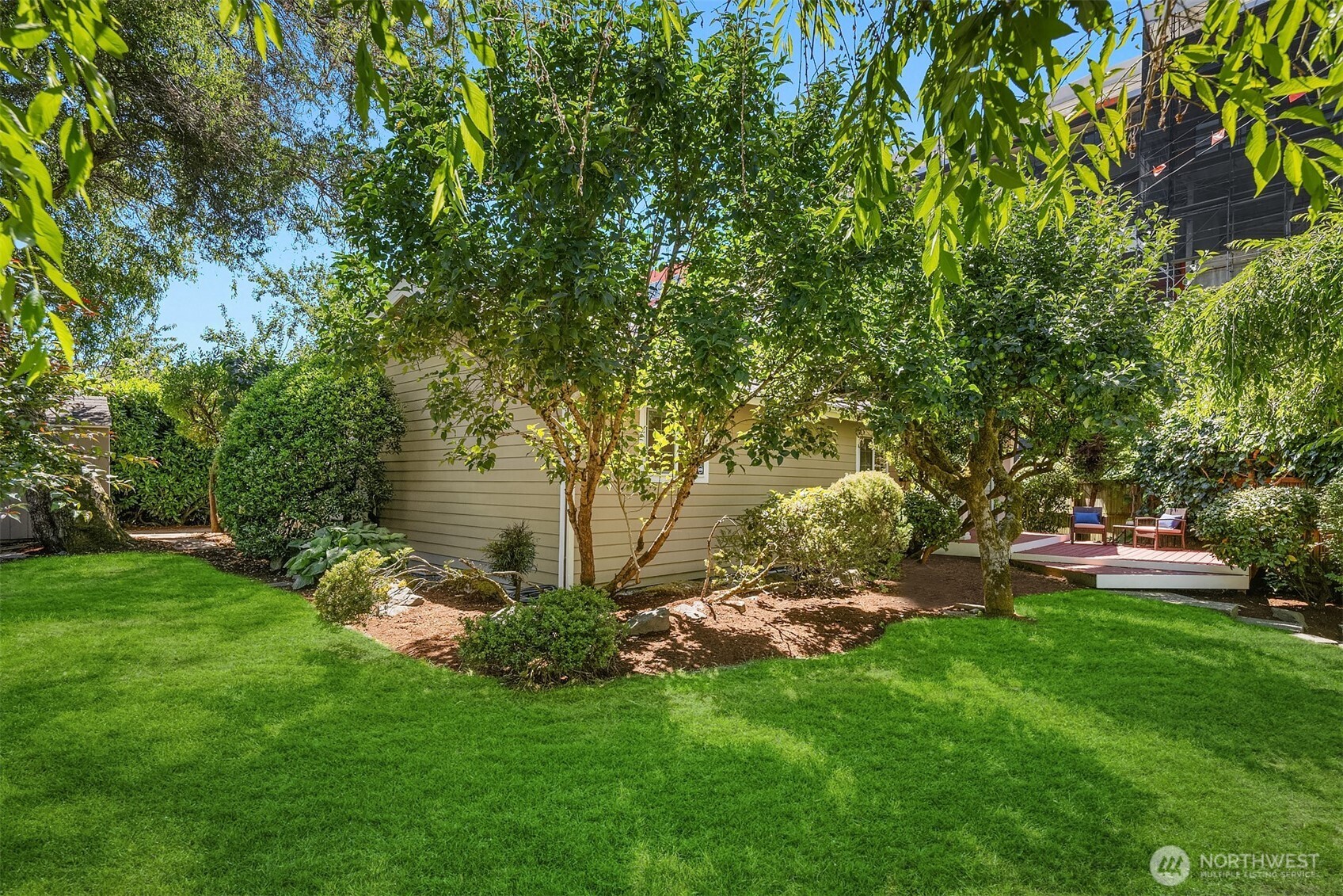 537 30th Avenue East Seattle, WA 98112 - Photo 3 of 25 a garden with trees in the background