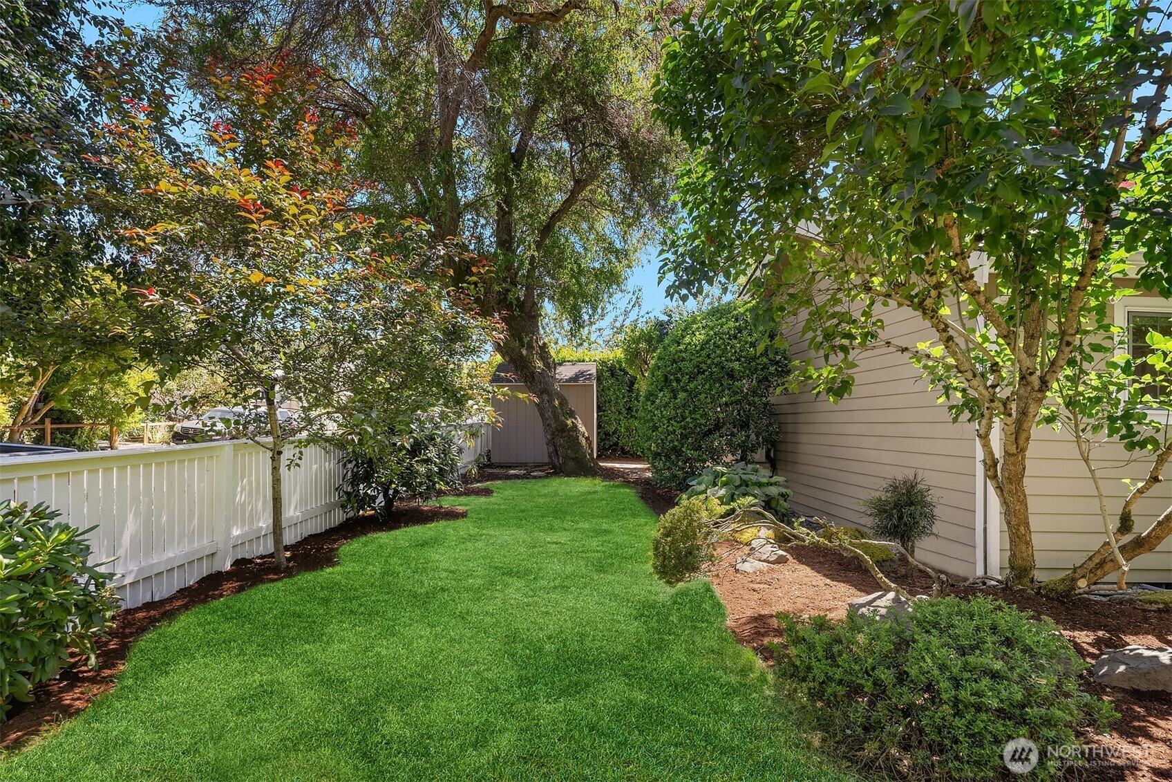 537 30th Avenue East Seattle, WA 98112 - Photo 4 of 25 a backyard of a house with plants and tree