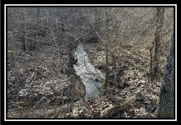 53522 Clary Road, Unit TRACT 1) Ray, OH 45672 - Photo 21 of 43 image021