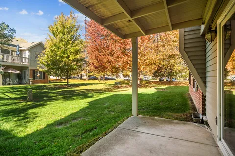 a view of a yard with plants and a table under an umbrella