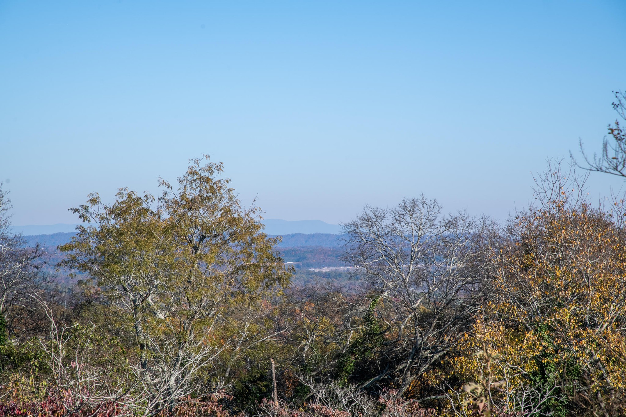 630 South Crest Road Chattanooga, TN 37404 - Photo 47 of 52 Gallery Image 47