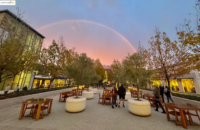 a view of a patio with table and chairs and potted plants