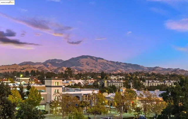 a view of city and mountain