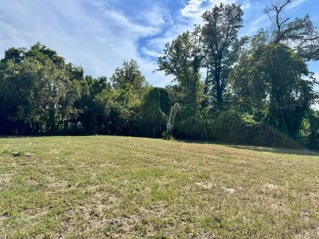 a yard with trees in the background