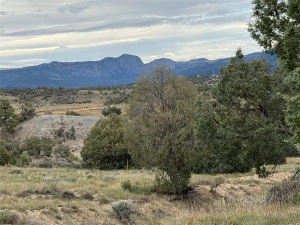 $67,500 | 31 Bobcat Lane, Los Ojos, NM 87551