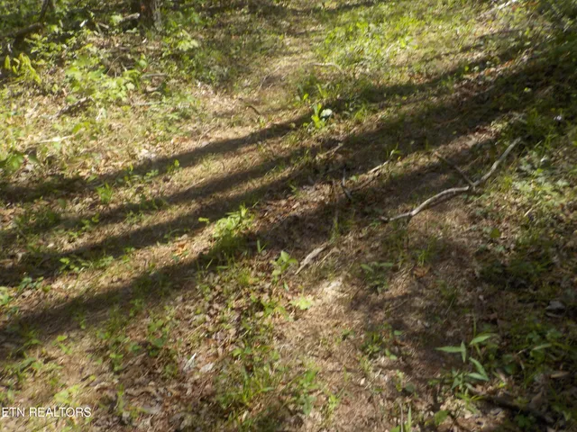 $255,150 | Steve Brown Road, Bean Station, TN 37708