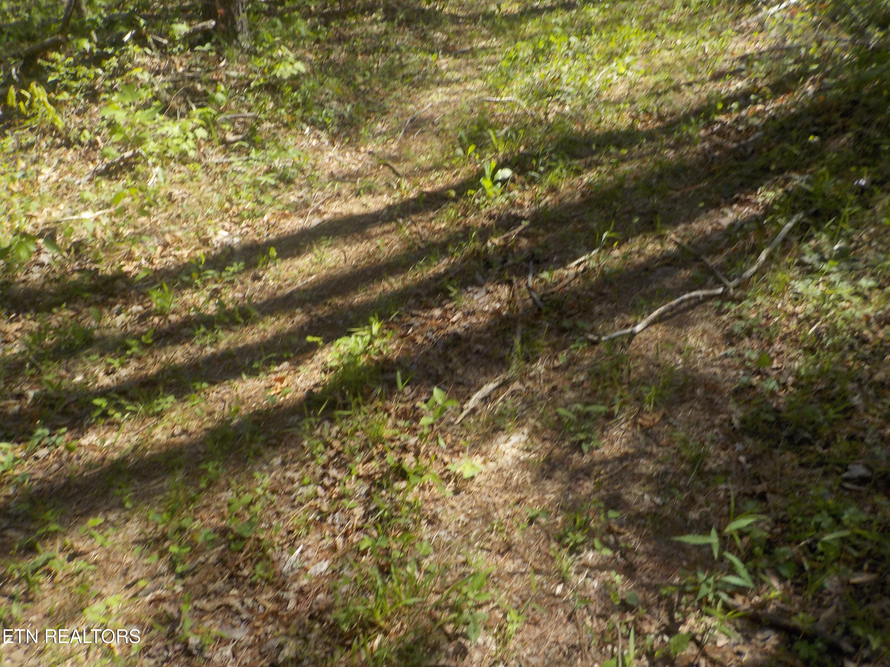Steve Brown Road Bean Station, TN 37708 - Photo 11 of 34 DSCN3283
