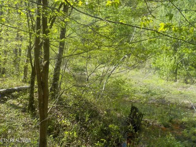 $255,150 | Steve Brown Road, Bean Station, TN 37708