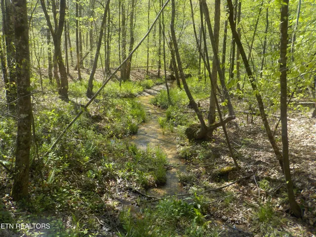 $255,150 | Steve Brown Road, Bean Station, TN 37708