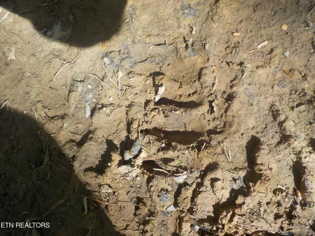 $255,150 | Steve Brown Road, Bean Station, TN 37708