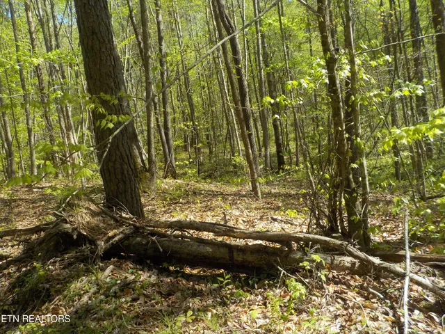 $255,150 | Steve Brown Road, Bean Station, TN 37708