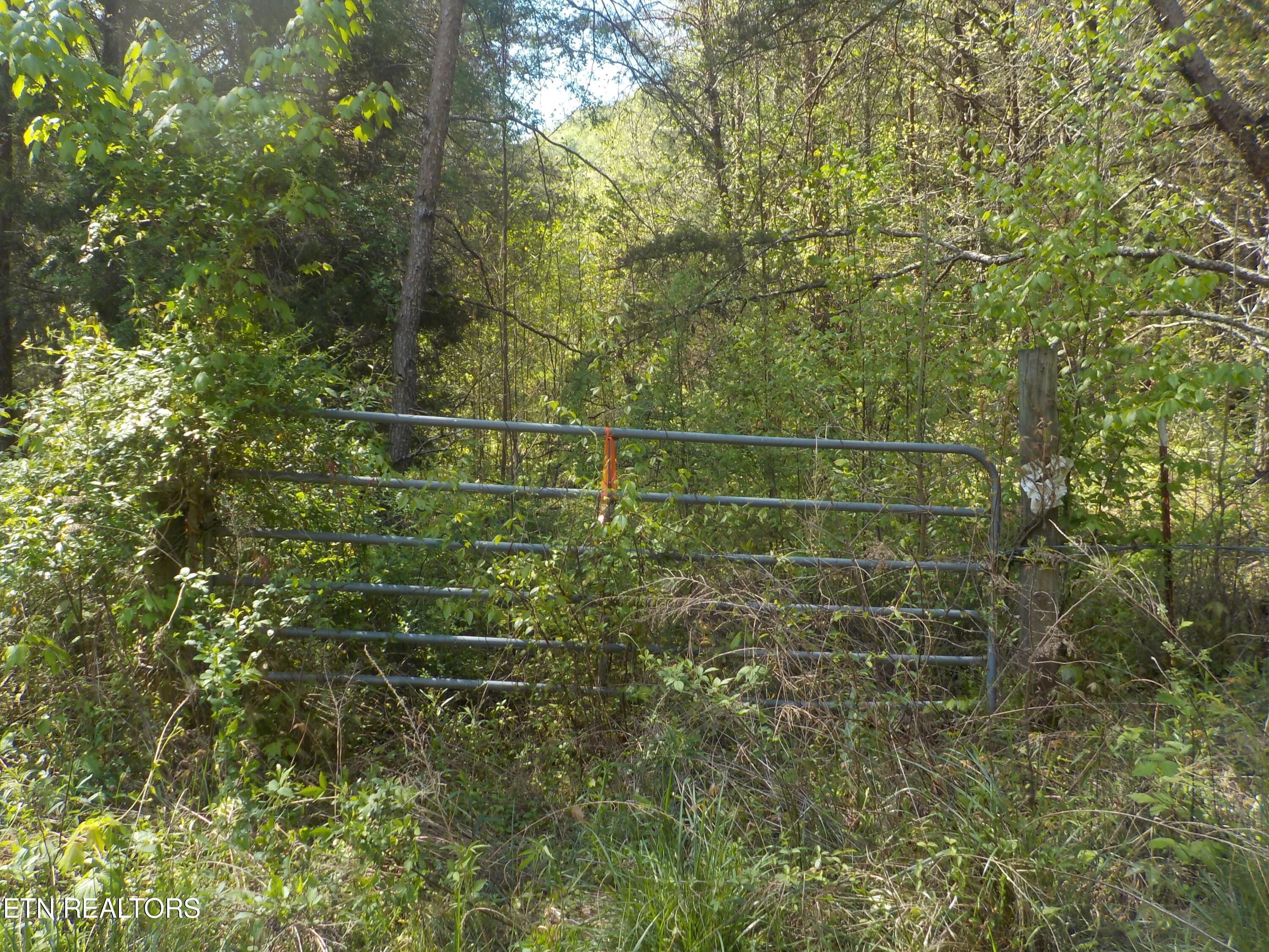 Steve Brown Road Bean Station, TN 37708 - Photo 25 of 34 DSCN3293