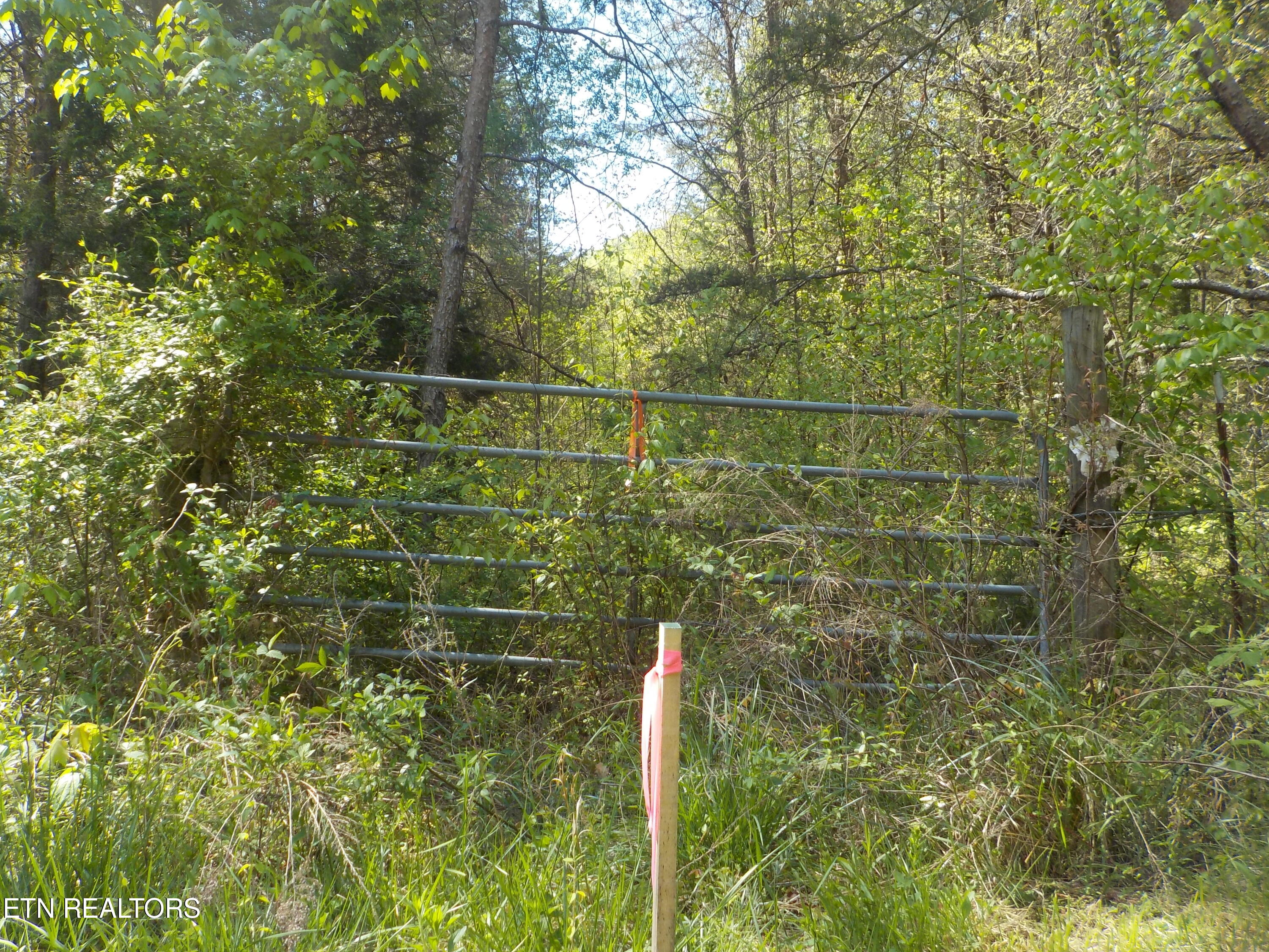 Steve Brown Road Bean Station, TN 37708 - Photo 26 of 34 DSCN3292