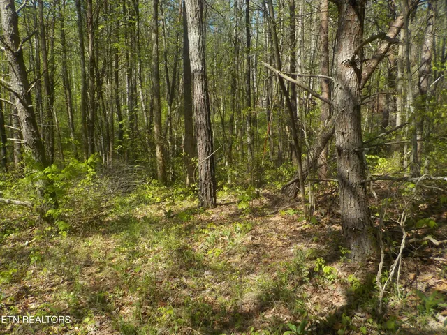 $255,150 | Steve Brown Road, Bean Station, TN 37708