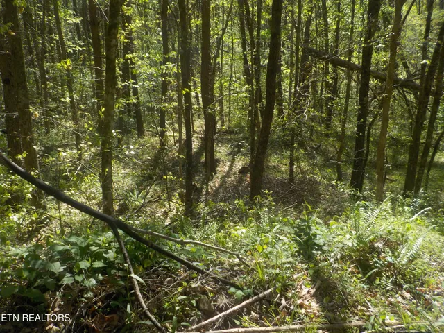 $255,150 | Steve Brown Road, Bean Station, TN 37708