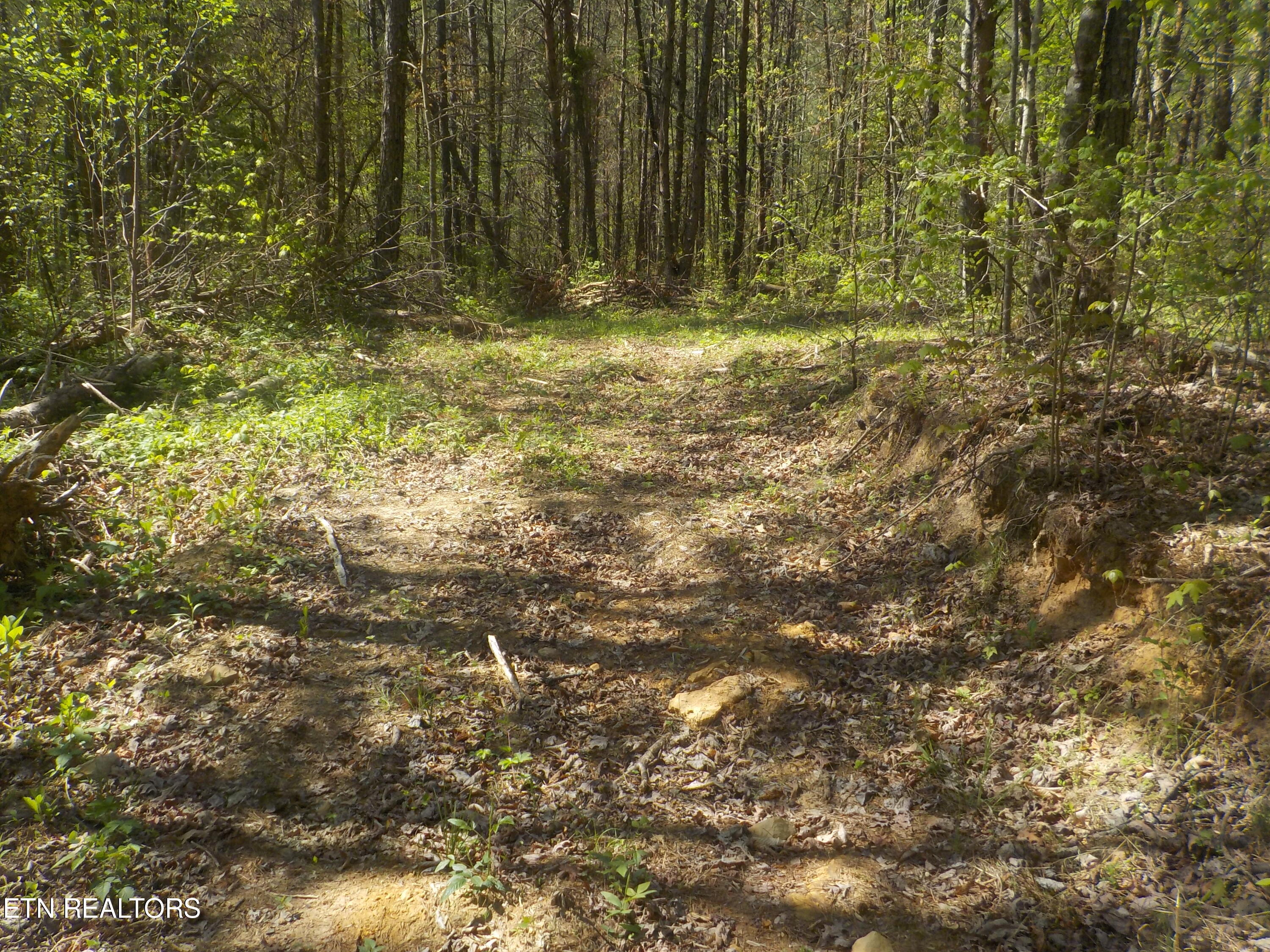 Steve Brown Road Bean Station, TN 37708 - Photo 5 of 34 DSCN3271