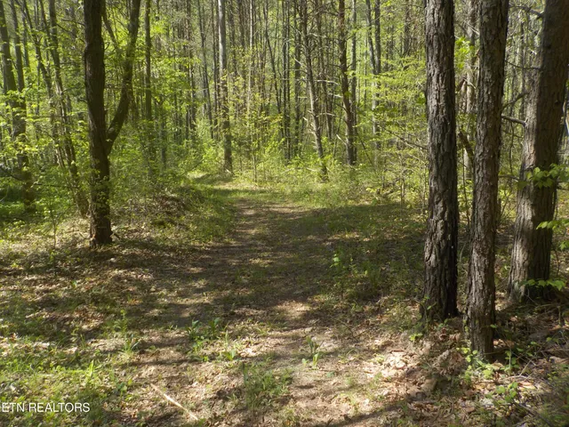 $255,150 | Steve Brown Road, Bean Station, TN 37708