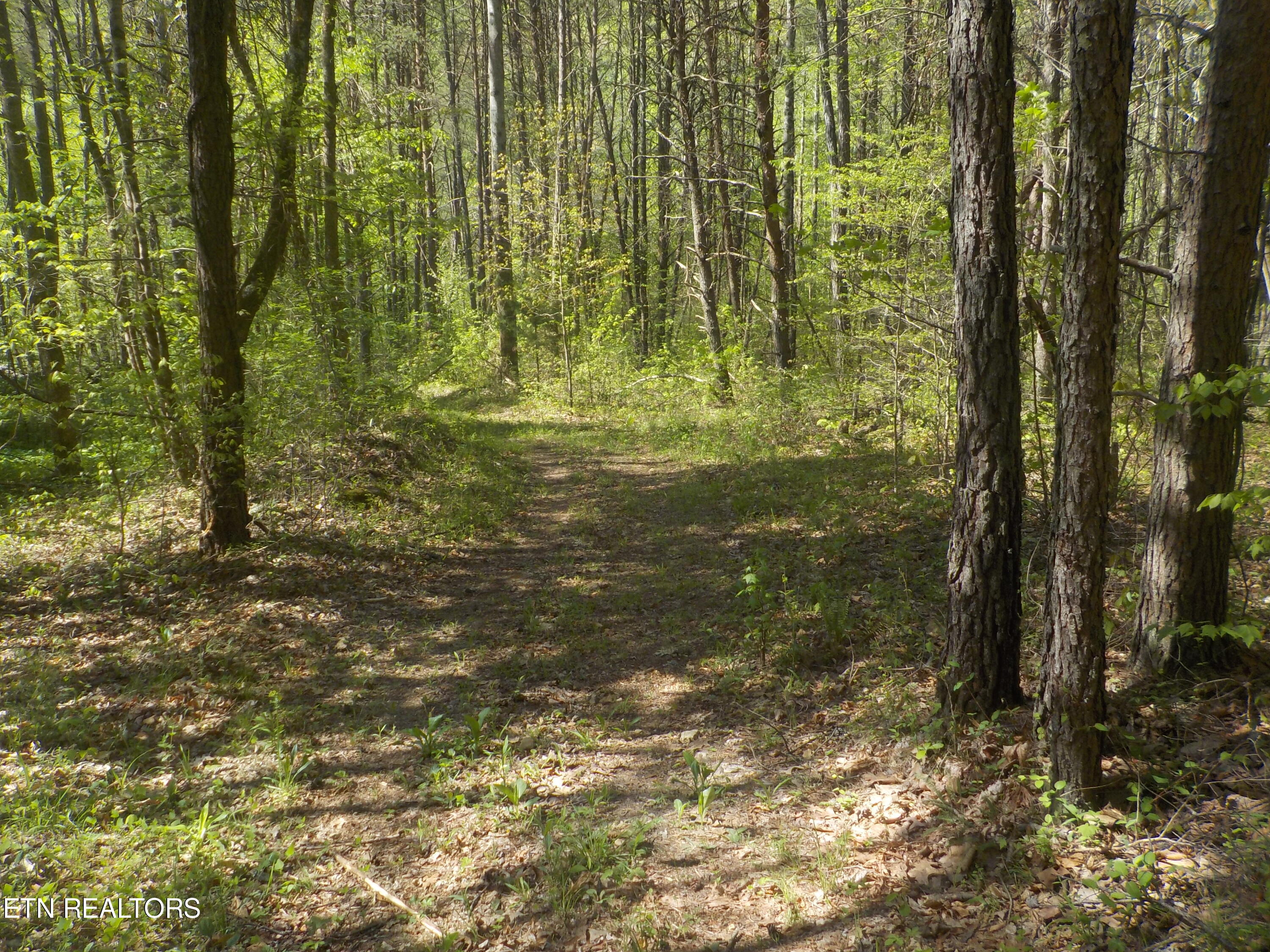 Steve Brown Road Bean Station, TN 37708 - Photo 6 of 34 DSCN3273