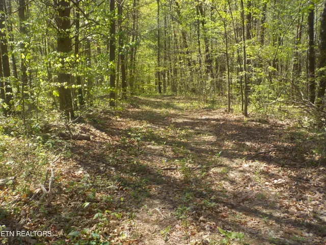 $255,150 | Steve Brown Road, Bean Station, TN 37708