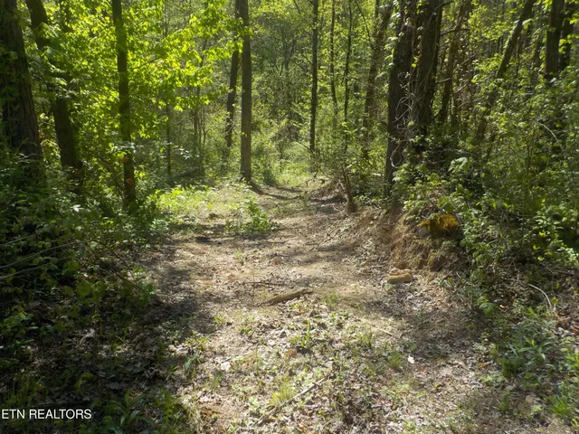 $255,150 | Steve Brown Road, Bean Station, TN 37708